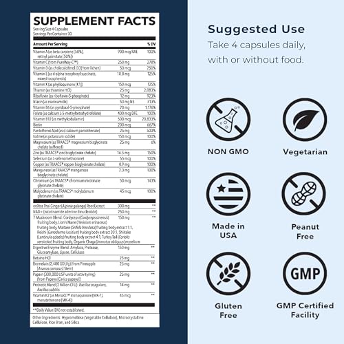 LifeSeasons Men's Multivitamin – High Potency with 21 Vitamins & Minerals, PureWay-C®, NAD+, Active B-Vitamins, TRAACS® Chelates, enXtra® for Energy, Probiotics & Mushrooms – 120 Veg Capsules LifeSeasons buy supplements Au
