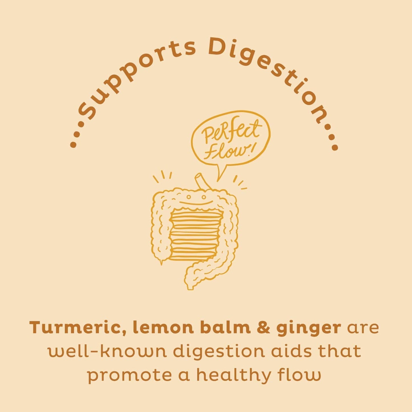 KOS Golden Mylk with Tumeric and Ginger, Organic Superfood Latte Powder, Adaptogen Mushroom Blend - Coffee Creamer, Dessert & Smoothie - Caffeine Free, Vegan, Dairy-Free, Gingerbread Chai, 28 Servings KOS buy supplements Au
