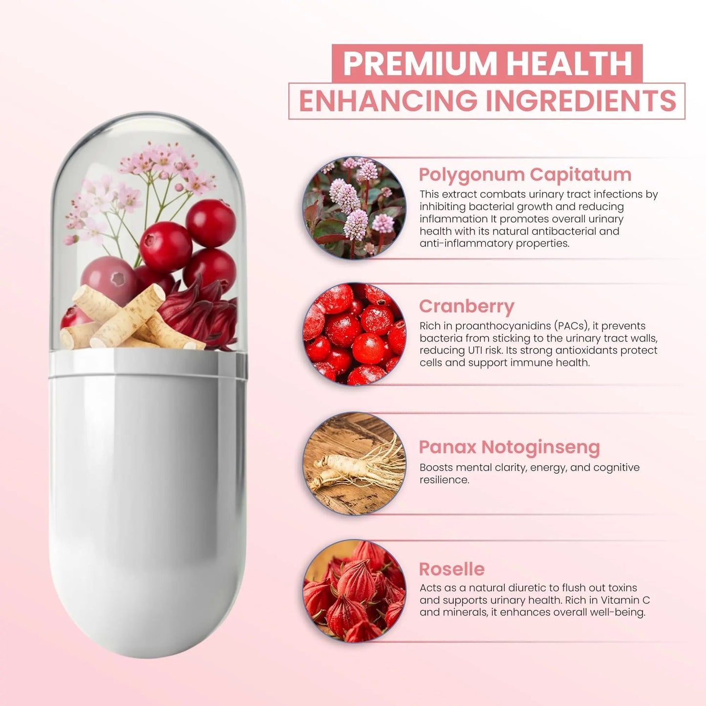 ZEN LIFE HERB UTFREx โ Fast Acting - Promotes Urinary Tract Health Supports Healthy Immune and Urinary System, No Vitamins, Minerals, Prebiotics, Sugar, Plant-Based Supplement (60 Capsules) ZEN LIFE HERBBuy Supplements Australia