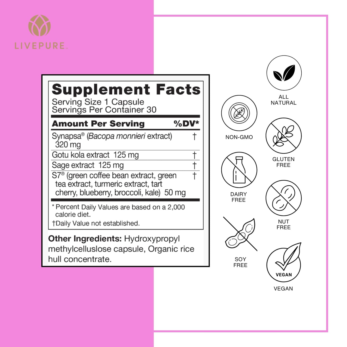 Pure Neuro Boost | 30 Capsules | Supplement to Support Energy, Memory, and Focus | Supports Better Concentration & Healthy Brain Function