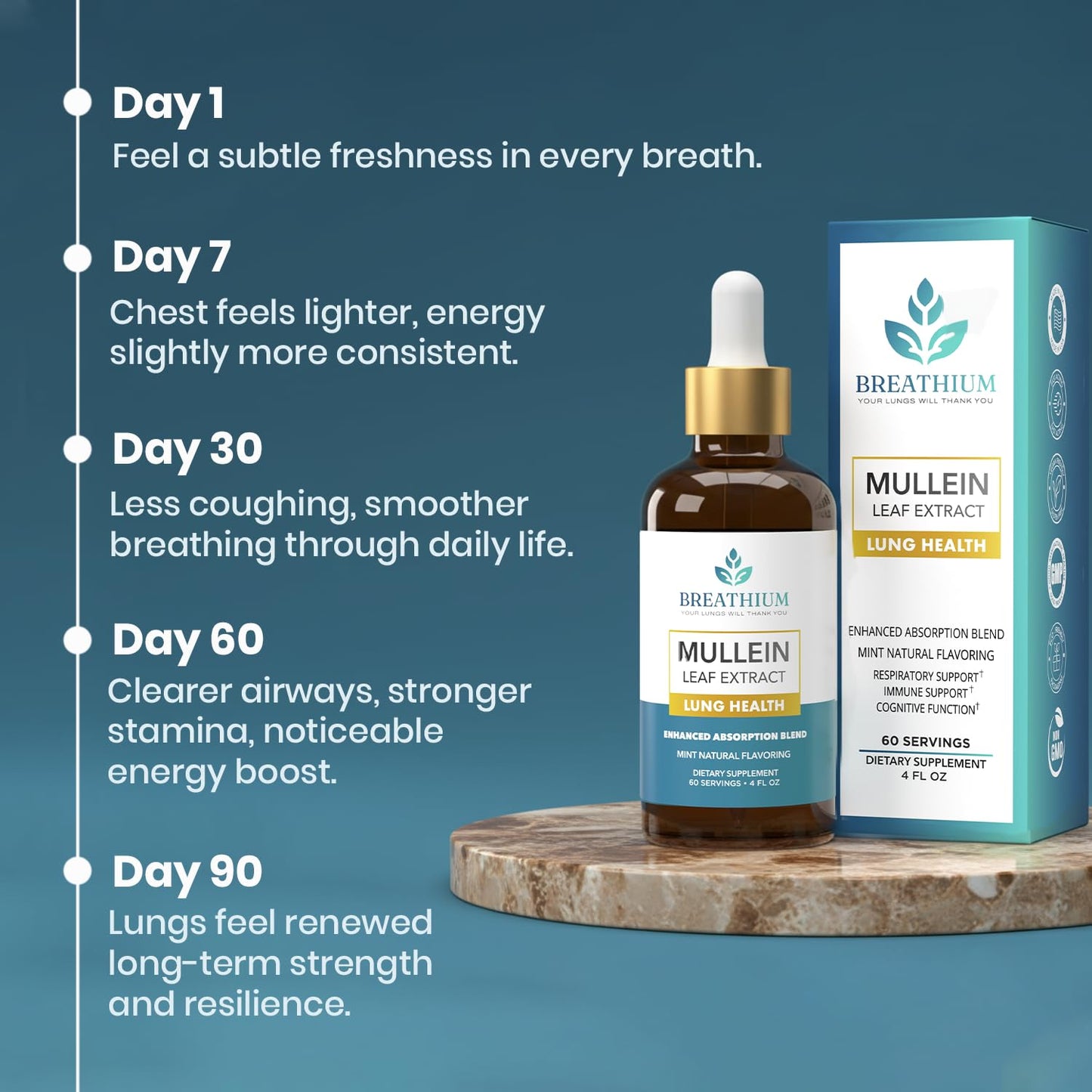BREATHIUM 4-in-1 Mullein Drops for Lungs & Gut Health – Liposomal Mullein Leaf Extract, Made in USA, Natural Lung Detox for Smokers + Immune, Digestive