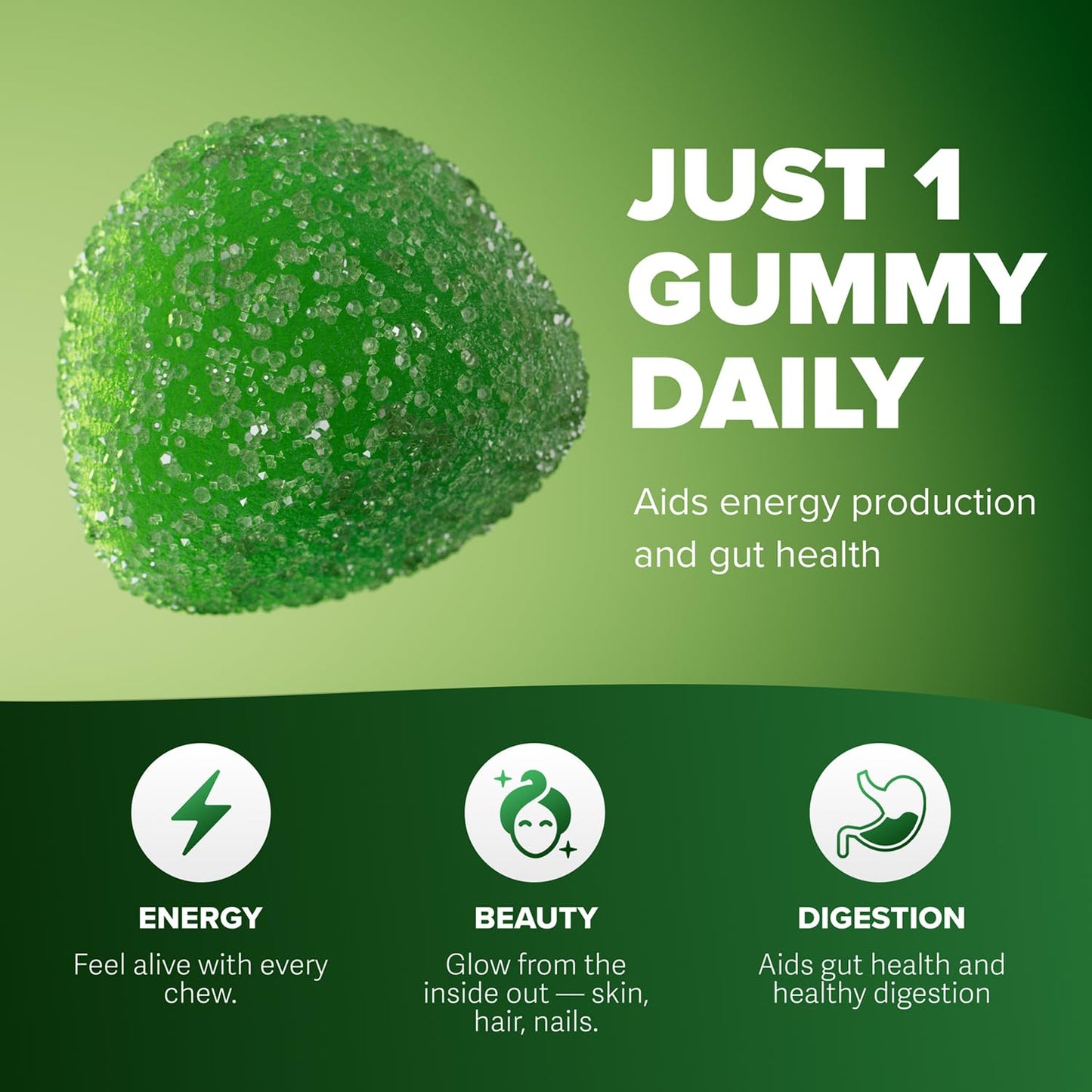 Rosabella Moringa Gummies – Moringa Leaf Extract 1000mg Equivalent Per Serving – Natural Energy & Balance – Non-GMO, Gluten-Free Superfood