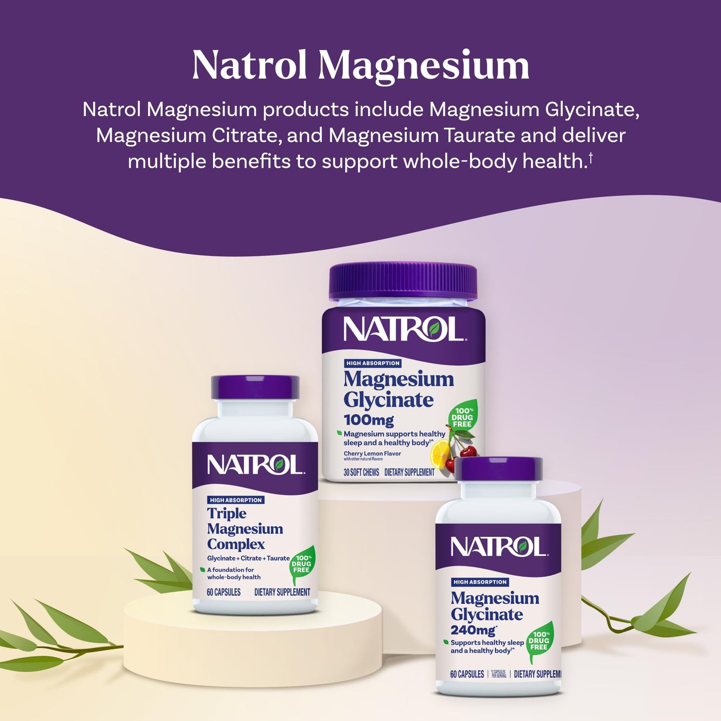 Natrol Triple Magnesium Complex Supplement, Glycinate, Citrate & Taurate 200mg High Absorption, Support Whole Body Wellness, 60 Capsules Natrol buy supplements Au