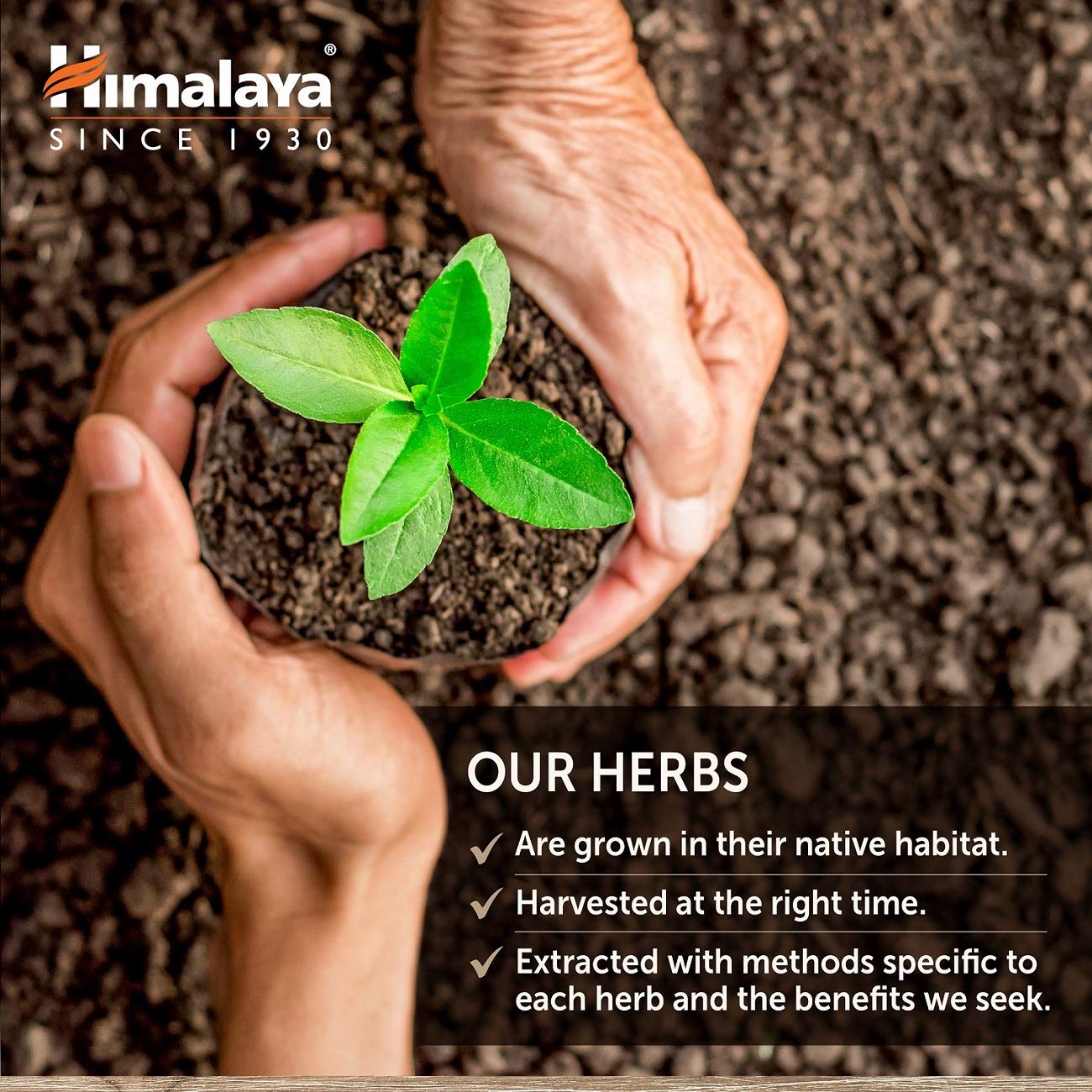 Himalaya GlucoCare – Herbal Glucose Metabolism & Pancreatic Support with Bitter Melon, Gymnema, Triphala & Turmeric – Natural Blood Sugar Support