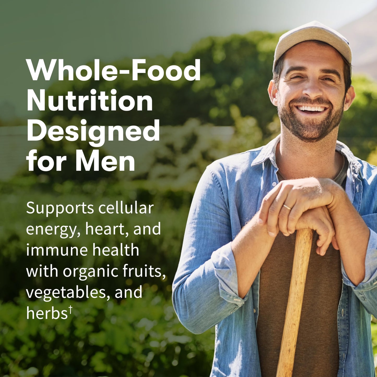 Garden of Life Once Daily Whole Food Multivitamin for Men, Organic Mens Vitamins & Minerals, Vitamin C, Zinc, Vegan, for Health & Well-Being, 60 Tablets Garden of Life buy supplements Au