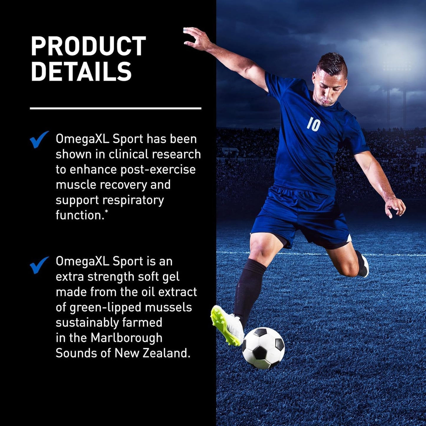 OmegaXL Sport Extra Strength Muscle Recovery Supplement and Respiratory Support Supplement - Improves DOMS and ROM, Clinically Supported Green-Lipped Mussel Oil (60 Softgels) OmegaXL buy supplements Au