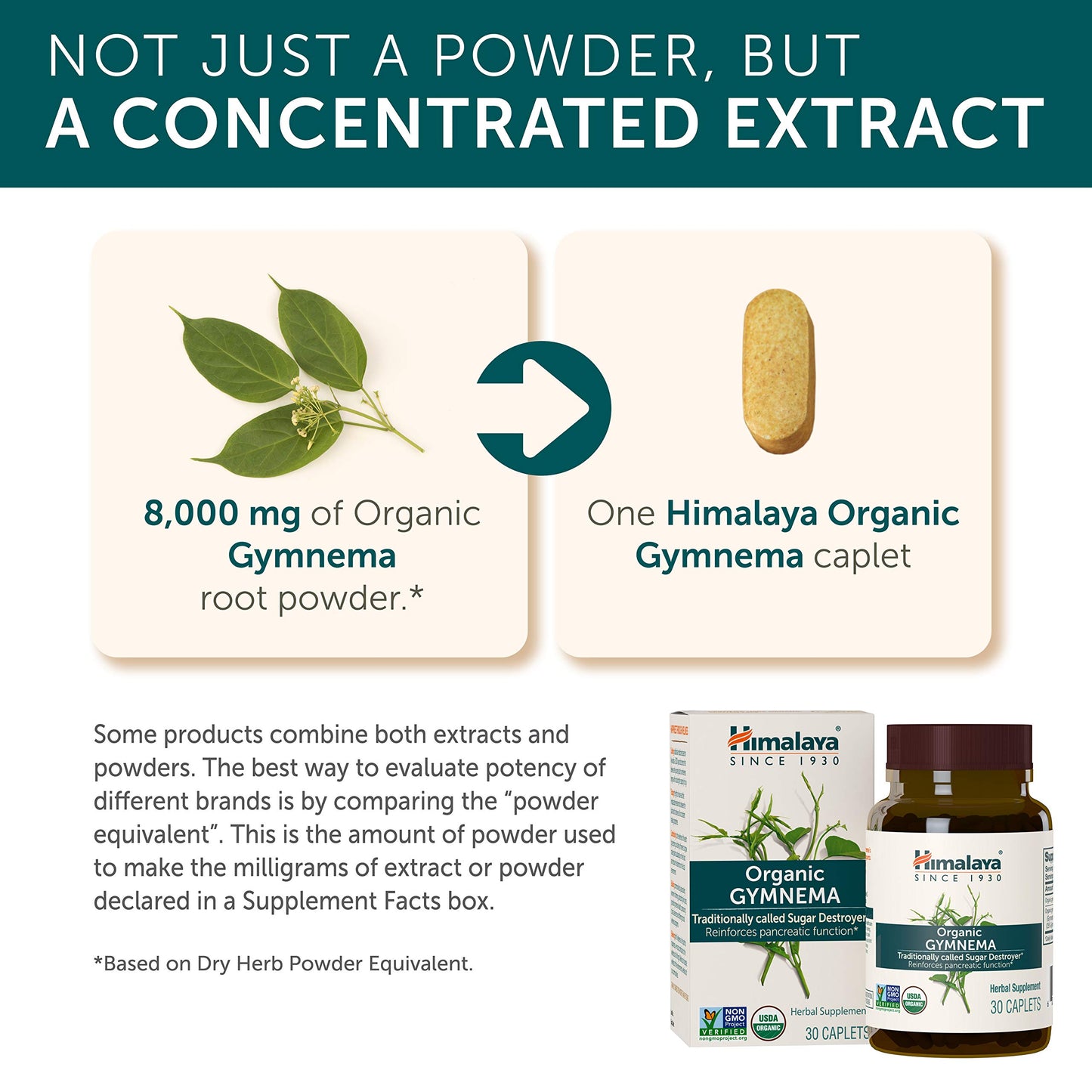 Himalaya USDA Organic Gymnema Sylvestre Extract 700mg,Gymnema Sylvestre Supplements,Herbal Glucose Metabolism Support,Gymnema Sylvestre Capsules,Non-GMO, Vegan