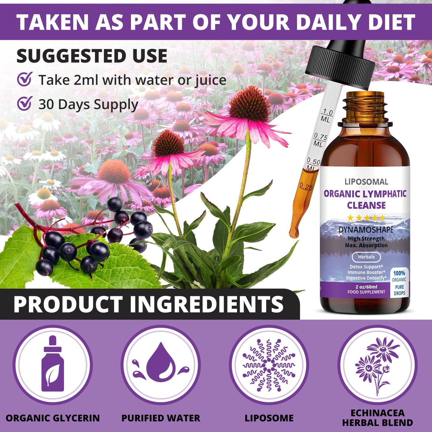 Lymphatic Drainage Drops | Lymphatic Drainage | Organic Lymphatic Drainage for Immune Support | Lymphatic Support Supplement | Vegan | Non-GMO | Gluten Free | 1 Fl Oz… baanaas For Babies to Nanas buy supplements Au