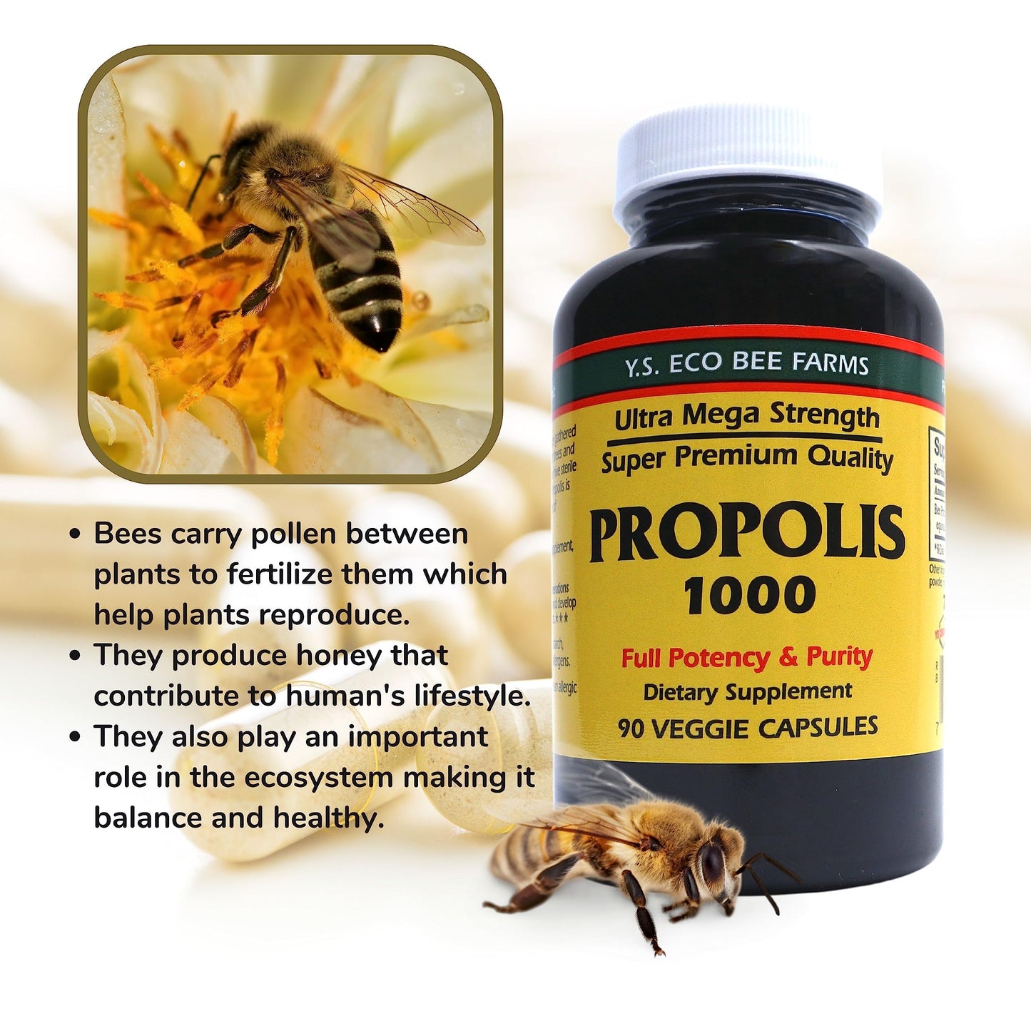 Y.S. Organic Bee Farms Propolis-Raw Unprocessed 1000mg - Your Gateway to Wellness - 90 Capsules with Bonus worldwidenutrition Multi Purpose Key Chain Worldwide Nutrition buy supplements Au