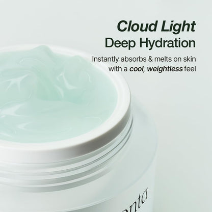 NATURAL DERMA PROJECT NDP Cica Cream - Gel Face Moisturizer for Sunburn Relief, lightweight Korean Moisturizer for Sensitive Skin, Centella Asiatica,