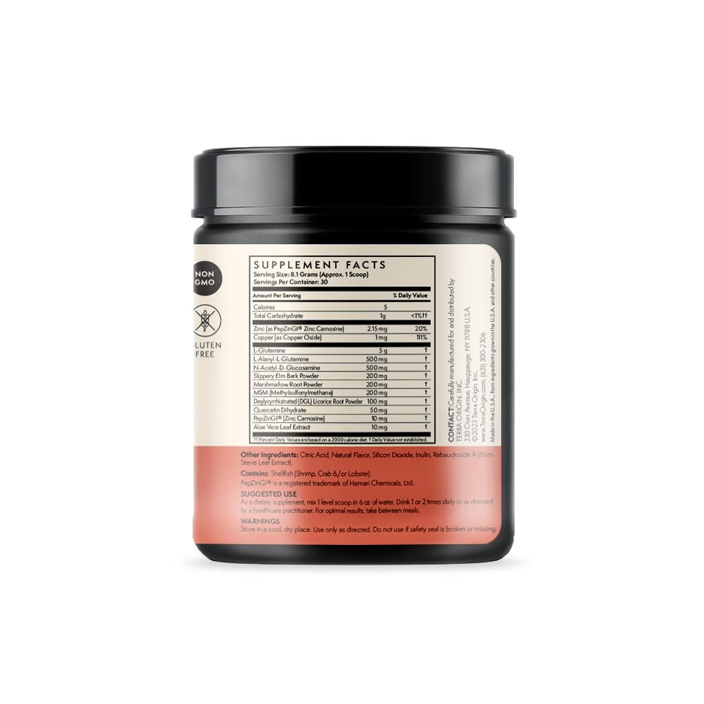 TERRA ORIGIN Healthy Gut Watermelon | 30-Servings with L-Glutamine, Zinc, Glucosamine, Slippery Elm Bark, Marshmallow Root and More!