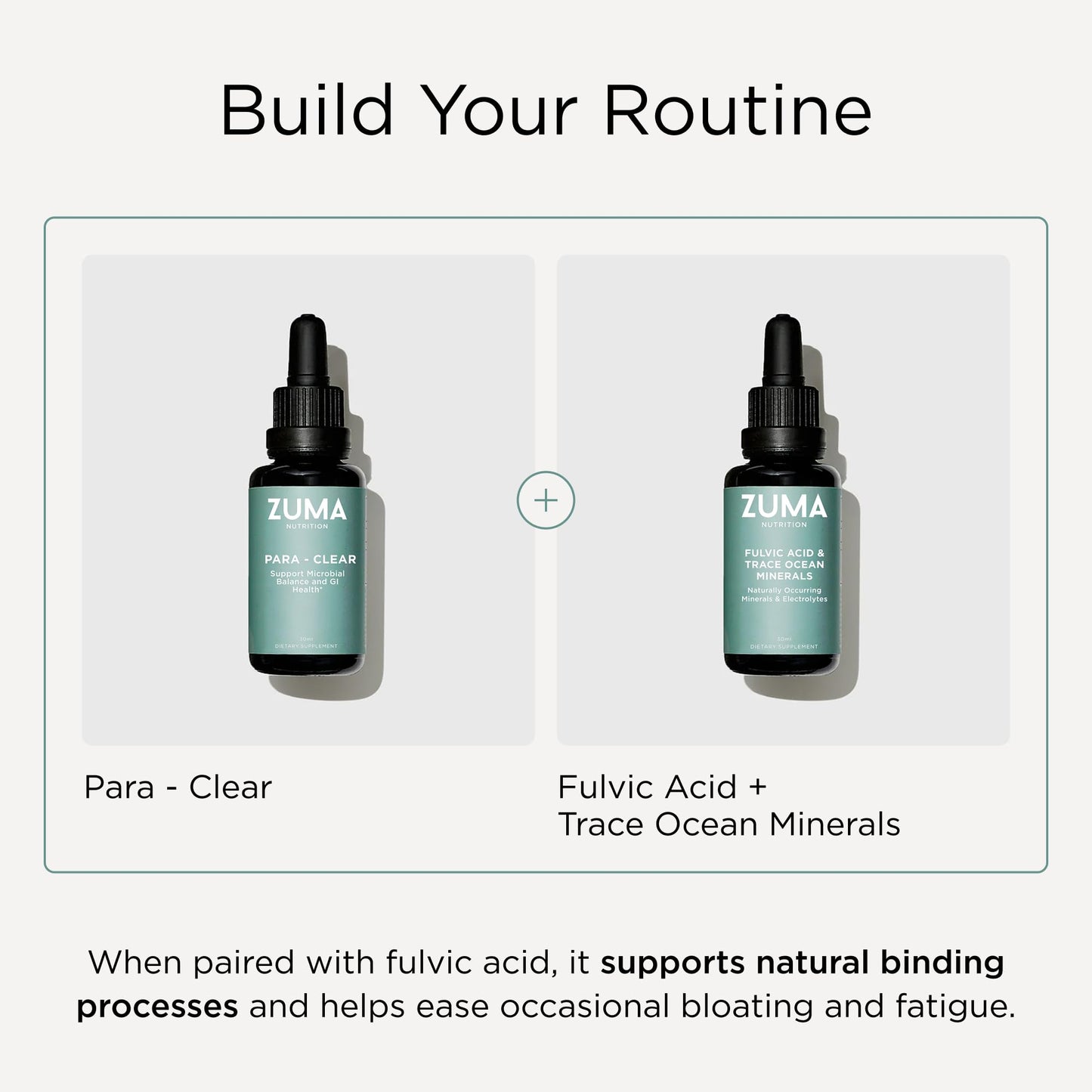 Zuma Nutrition para-Clear, Vegan Herbal Liquid with Clove Extract & Sweet Wormwood for Gut Health & Immune Support, Plant Based Water Soluble