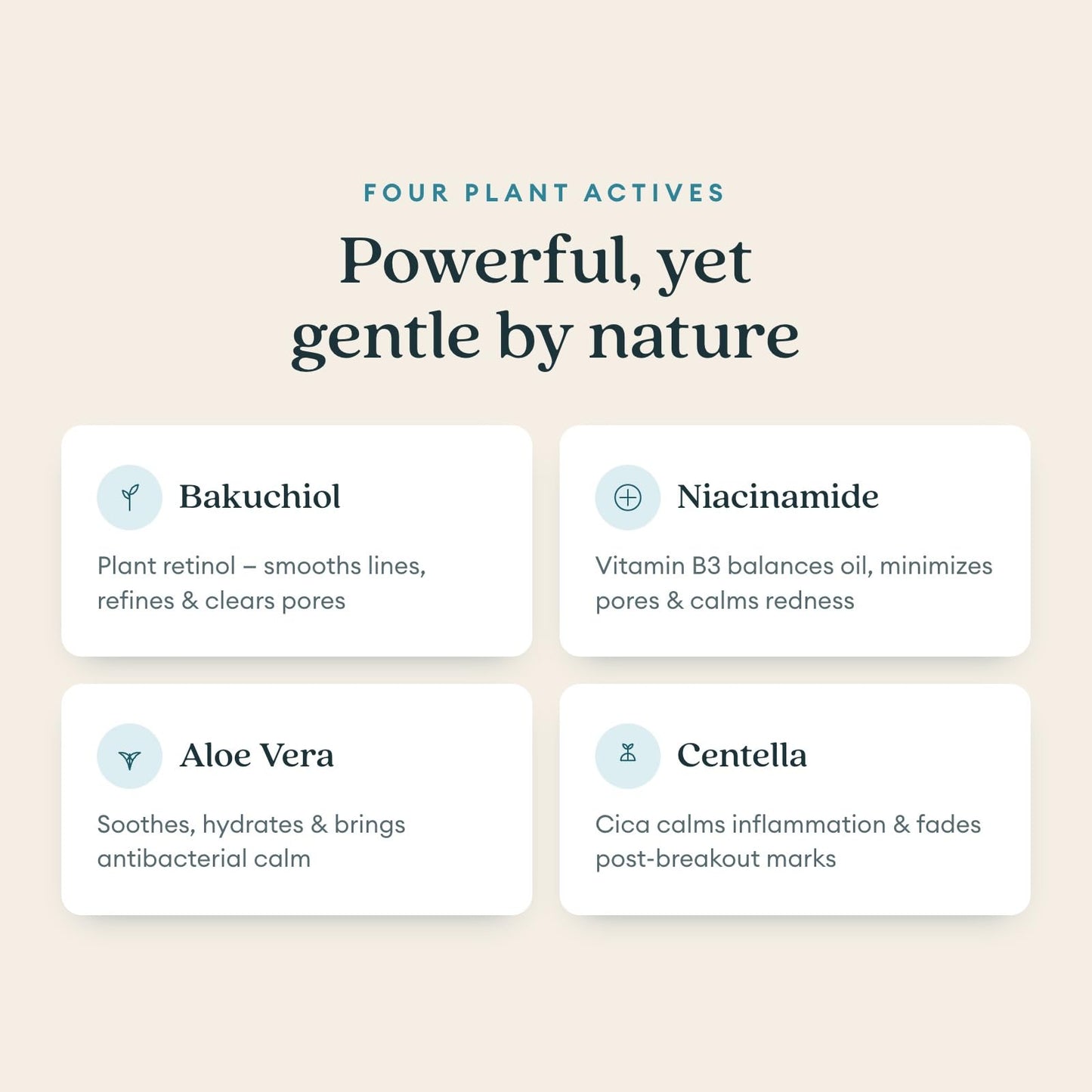 LUMA & LEAF Clear Slate Niacinamide Serum for Face – Redness & Acne Relief with Bakuchiol & Aloe Vera – Hydrating Vegan Daily