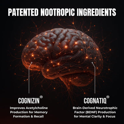 All-Natural Brain Supplement for Memory and Focus - Caffeine-Free Long-Term Cognitive Support - 10 Nootropic Ingredients Including Lion’s Mane, Bacopa, Turmeric, Ginkgo & Huperzine A - 90 Capsules