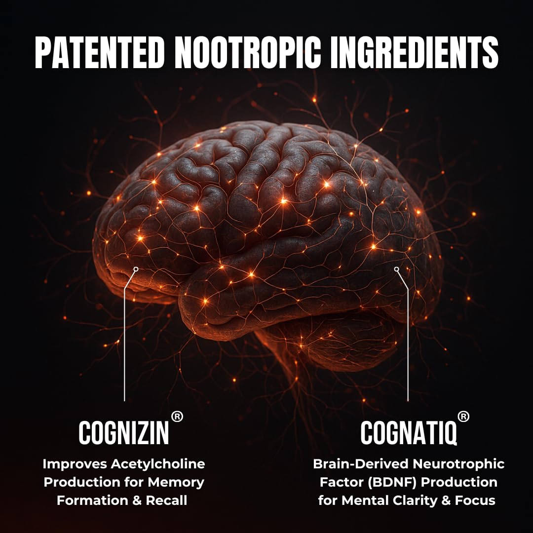 FOCUS + THINK Nootropic Brain Supplement Bundle - Energy, Memory & Focus Support - Caffeine + Caffeine-Free Cognitive Stack with Lion's Mane, Bacopa, Citicoline & L-Theanine - 2 Bottles (90 + 90 Capsu HUMBLEROOTS PERFORMANCE buy supplements Au