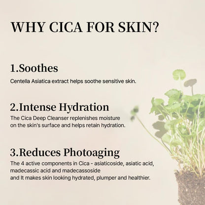 mixsoon Soondy Centella Asiatica Essence-Soothing and Calming for Face, Jeju Island Cica Extracts and Hydrating Formula for Balanced Skin 30ml