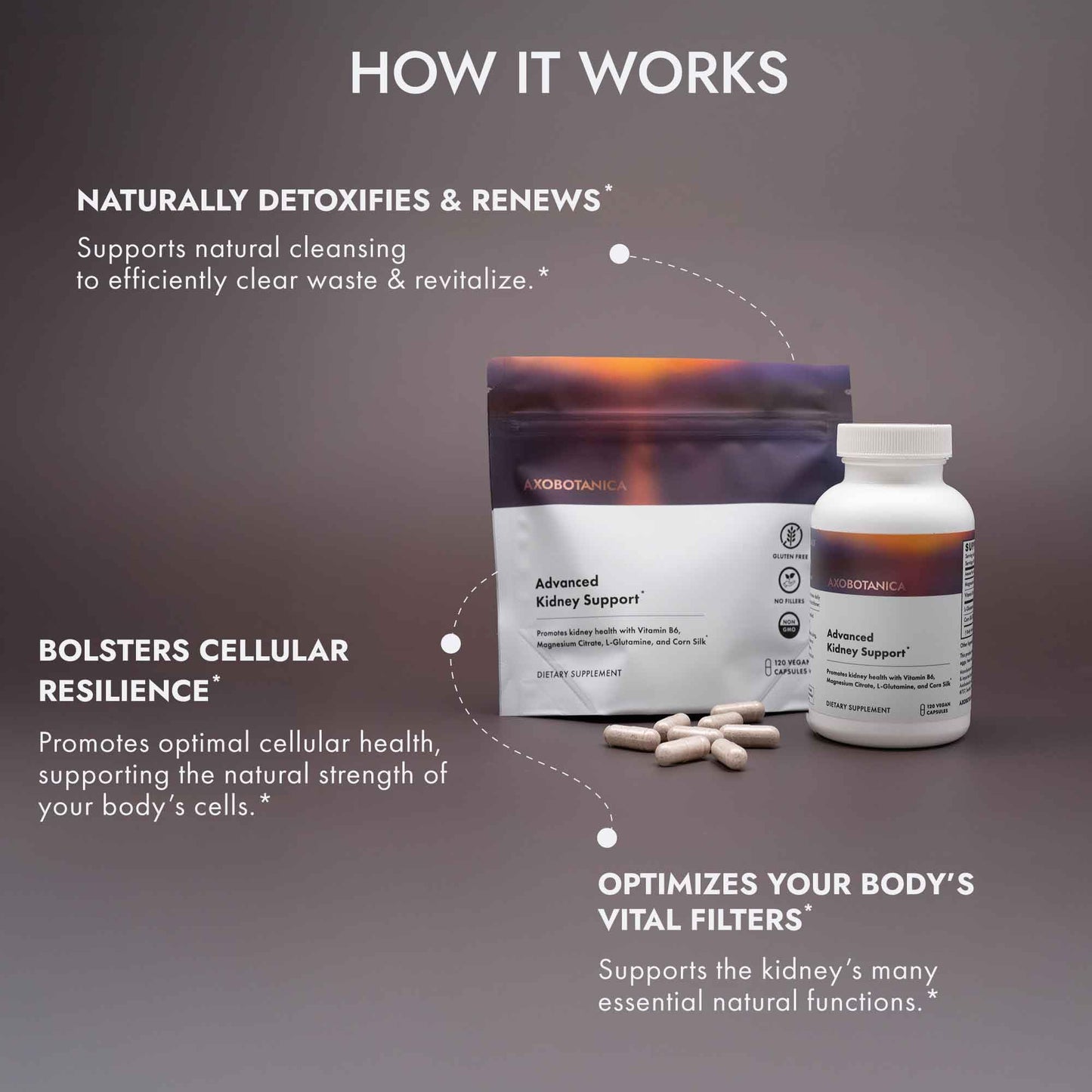 Axobotanica Kidney Cleanse Detox & Repair - Vitamin B6, Magnesium, L-Glutamine & Cornsilk - Kidney Support Supplement, Urinary Flow & Bladder Comfort