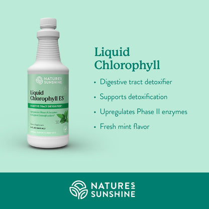 Nature's Sunshine Liquid Chlorophyll Extra Strength - Immunity Support, Detox & Cleanse, Chlorophyll Liquid Drops with Spearmint Oil,