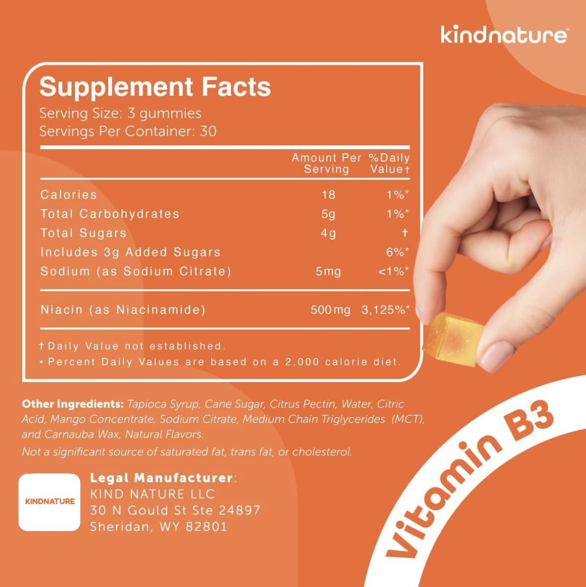 kindnature Vitamin B3 Niacinamide Gummies 500mg – Flush-Free Niacin Supplement – Supports Skin, Energy & Nervous System Wellness – Vegan, Non-GMO