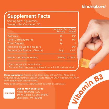 kindnature Vitamin B3 Niacinamide Gummies 500mg – Flush-Free Niacin Supplement – Supports Skin, Energy & Nervous System Wellness – Vegan, Non-GMO