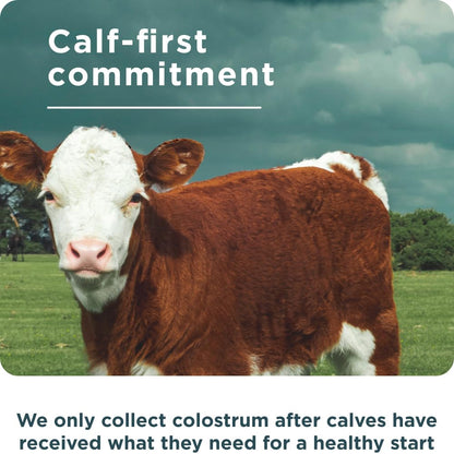 Ancient Nutrition Colostrum Superfood + Collagen, Grass Fed Bovine Colostrum, Fermented Eggshell Membrane Collagen, Supports Healthy Gut
