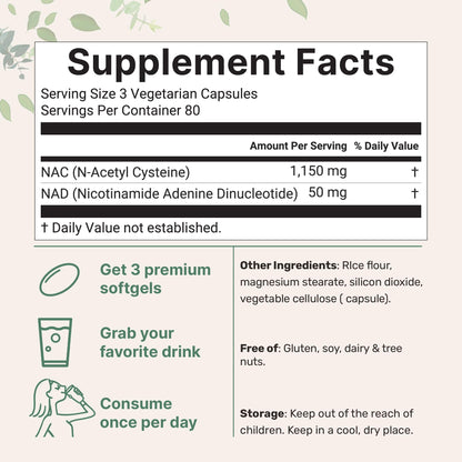 Micro Ingredients NAC with NAD+, 240 Vegetarian Capsules | 1,200 mg Per Serving | 2-in-1 N-Acetyl-L-Cysteine with Nicotinamide Adenine Dinucleotide