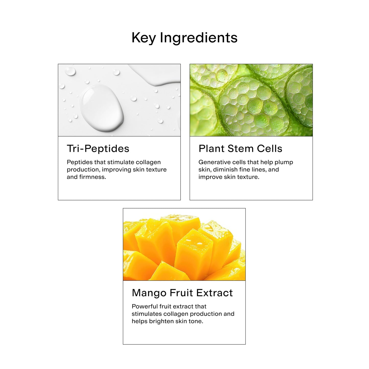 CLEARSTEM BOUNCEBACK Radiant Facial Serum - Peptide Serum for Hydration & Smooth-Looking Skin with Tri-Peptides and Mango Fruit Extracts