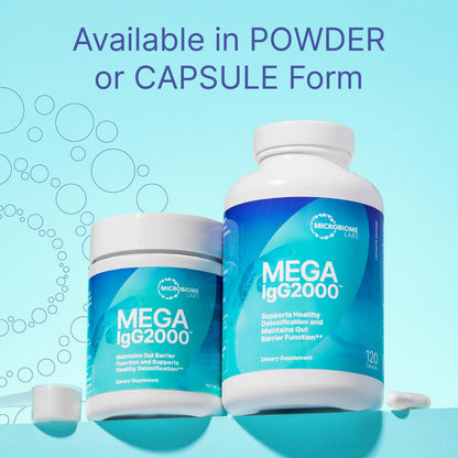 Microbiome Labs Mega IgG2000 Gut Health Powder for Women, Men & Kids 2+ - IgG Immunoglobulin Supplement for Digestive Health Support - Dairy-Free Bovine Colostrum