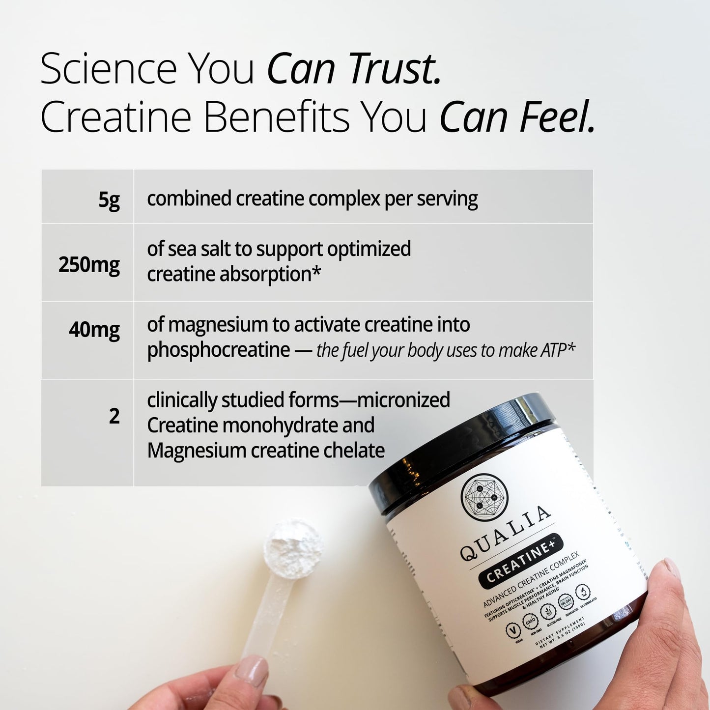 Qualia Creatine | Advanced Creatine Complex | 2 Sources + Magnesium | Optimized Absorption | Muscle Performance, Brain Function,