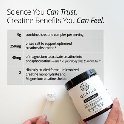 Qualia Creatine | Advanced Creatine Complex | 2 Sources + Magnesium | Optimized Absorption | Muscle Performance, Brain Function,
