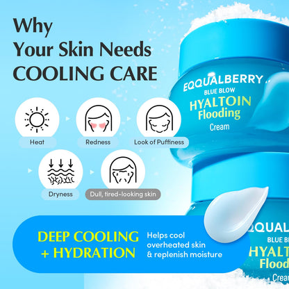 EQQUALBERRY HYALTOIN Flooding Cream | 5% Hyaluronic Acid & Ectoin, 10% Glacier Water | Quick Cooling Gel Moisturizer: Hydration, Barrier Repair & Redness Relief