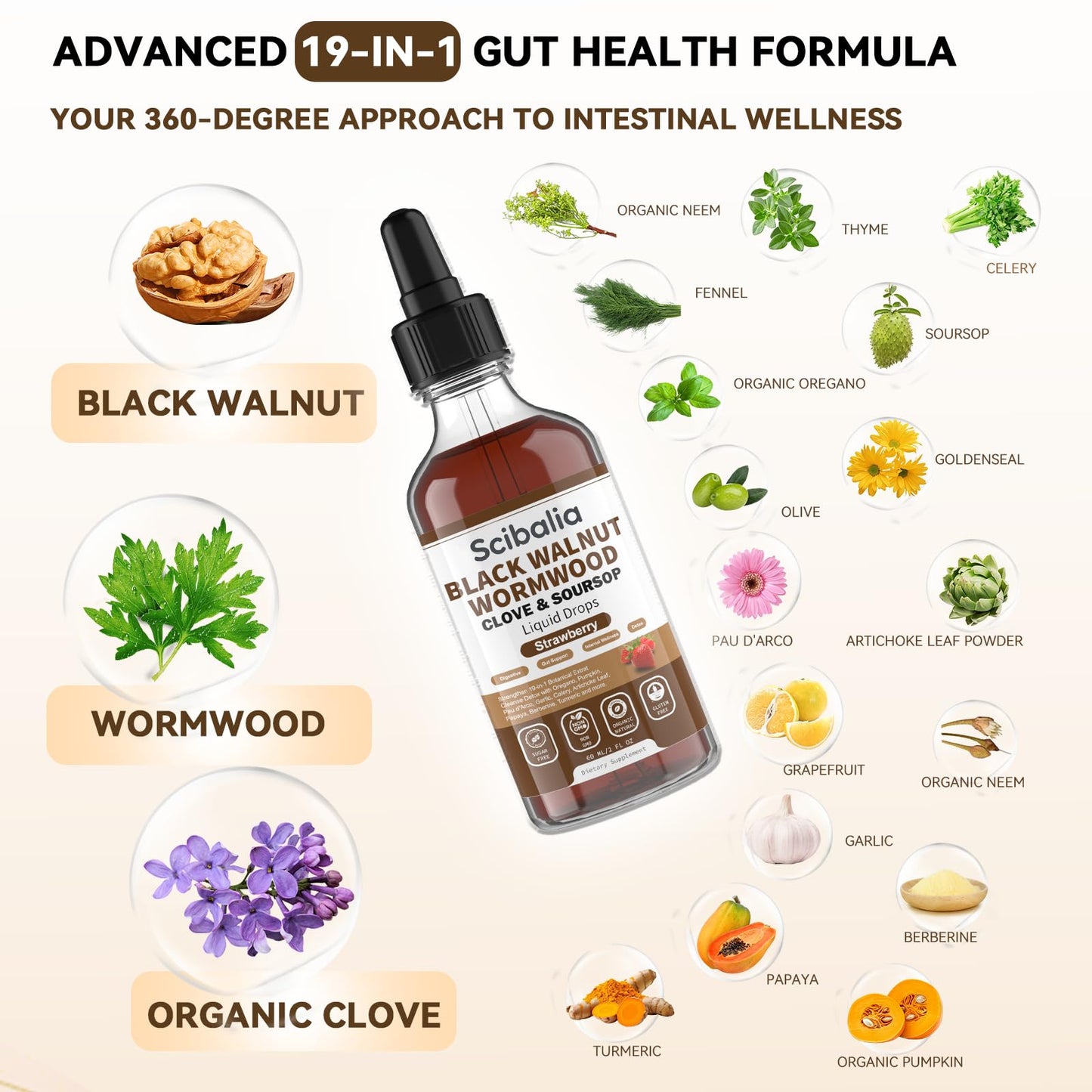 Scibalia Wormwood Black Walnut Clove Cleanse for Human Drops, 19-in-1 Triple-Action Gut Detox & Digestive Wellness Organic Wormwood Tincture w. Soursop