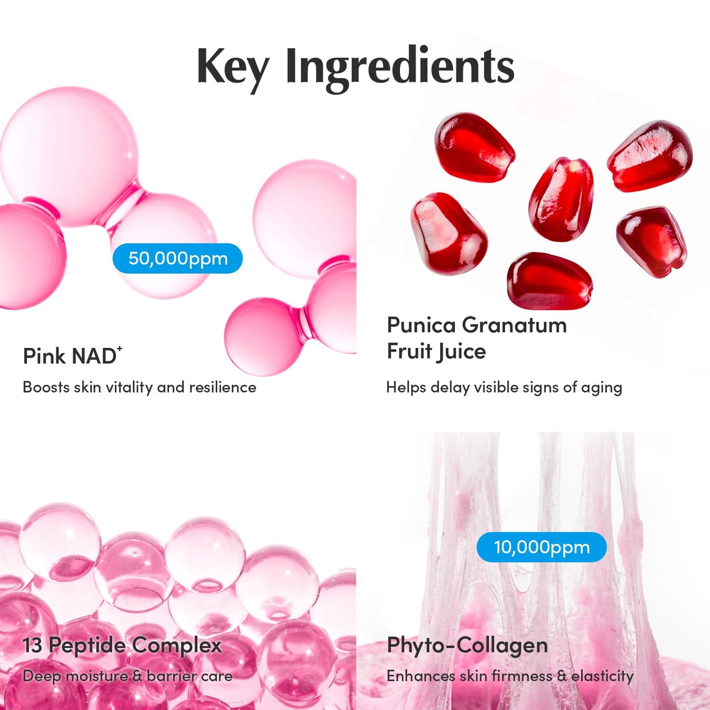 EQQUALBERRY NAD+ Peptide Boosting Cream Double Pack | NAD+ 5% & 13 Peptides Anti-Aging Korean Skincare Face & Body Cream | Firming & Lifting Pink Neck Cream