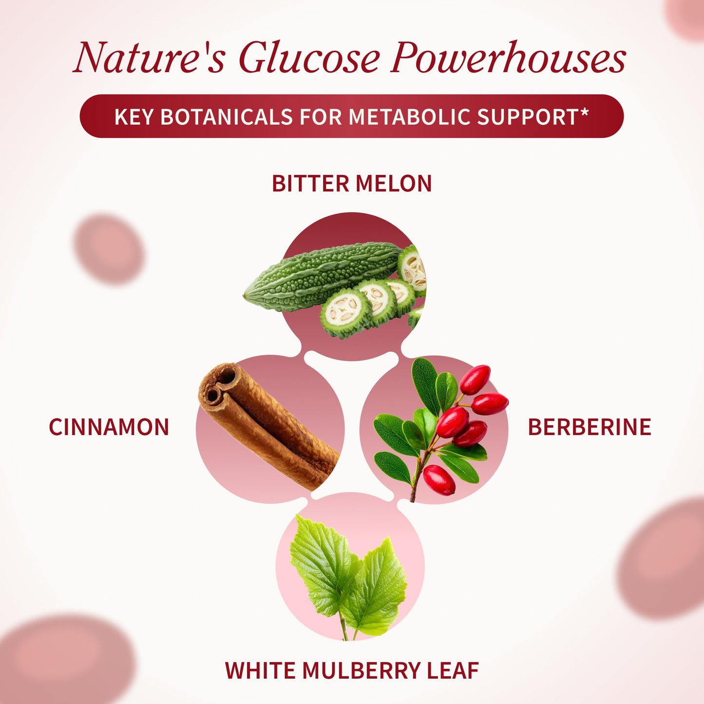 Snap Supplements Blood Sugar Blend, CoQ10, Cinnamon, and Gymnema to Support Already Healthy Blood Sugar, Metabolic Health and Energy,