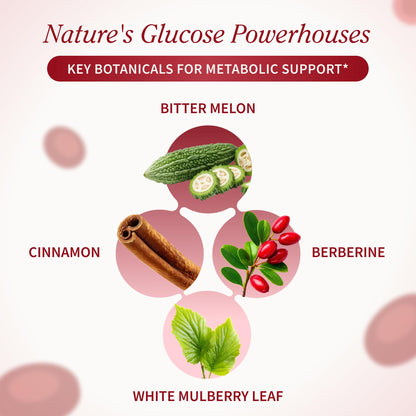 Snap Supplements Blood Sugar Blend, CoQ10, Cinnamon, and Gymnema to Support Already Healthy Blood Sugar, Metabolic Health and Energy,