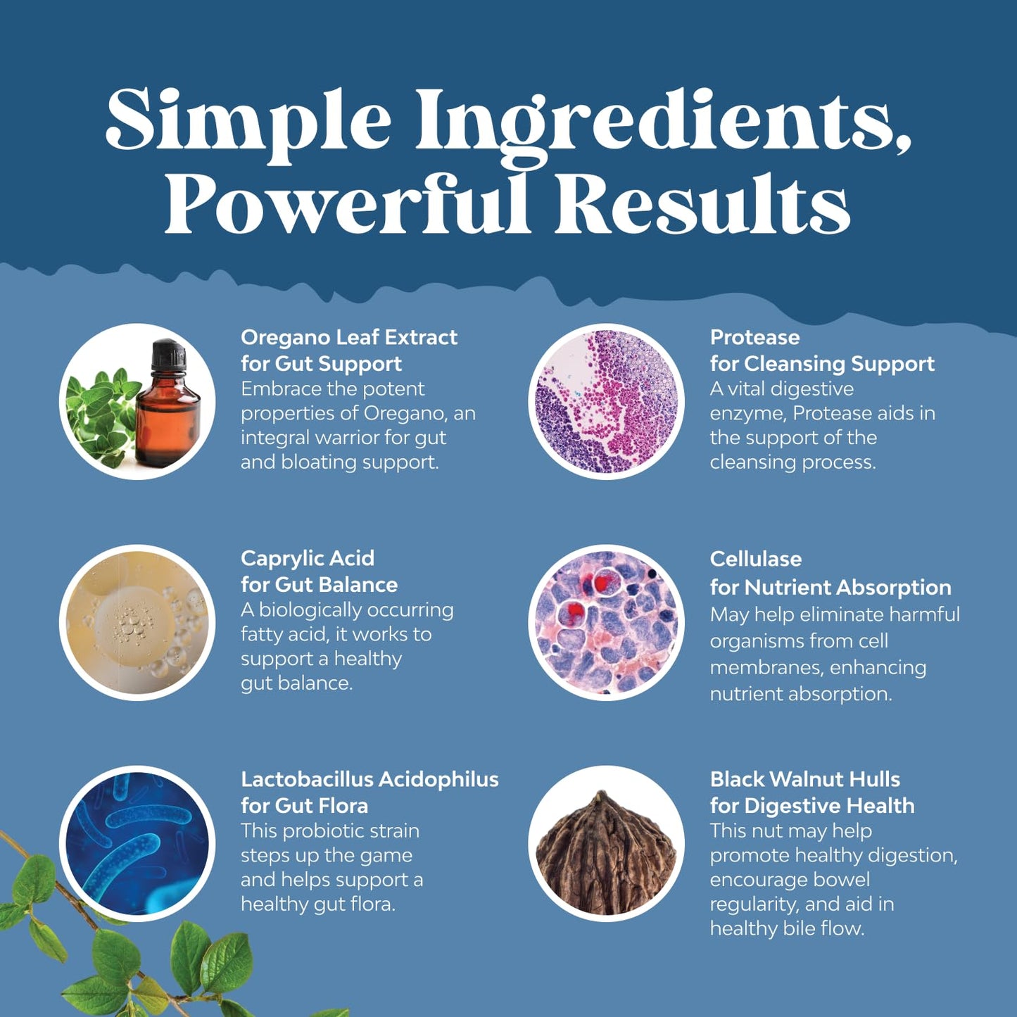 Candida Cleanse Detox for Women - Anti Overgrowth Gut Detox for Women with Caprylic Acid Black Walnut Wormwood and Oregano - Full Body Cleanse