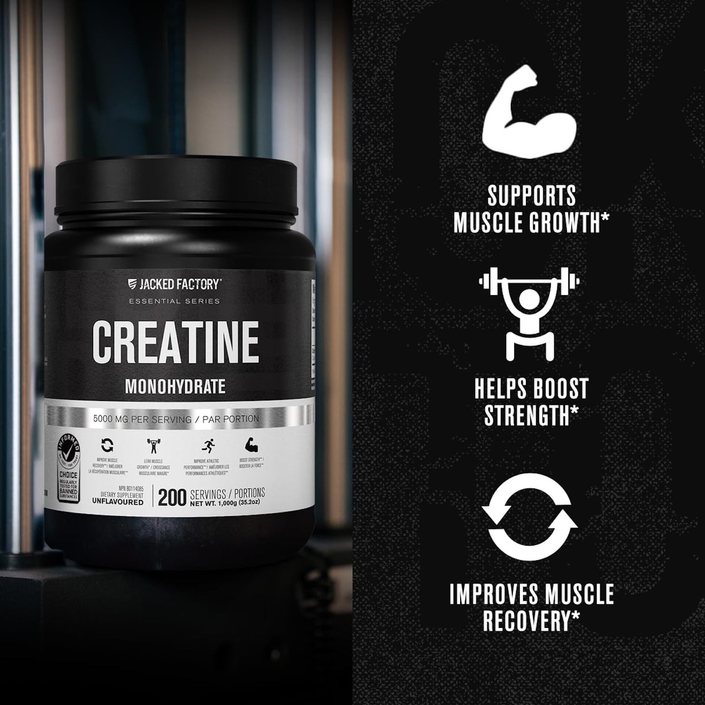 Jacked Factory Creatine Monohydrate Powder 1000g - 5g Daily Creatine Supplement for Men and Women, Vegan-Friendly,