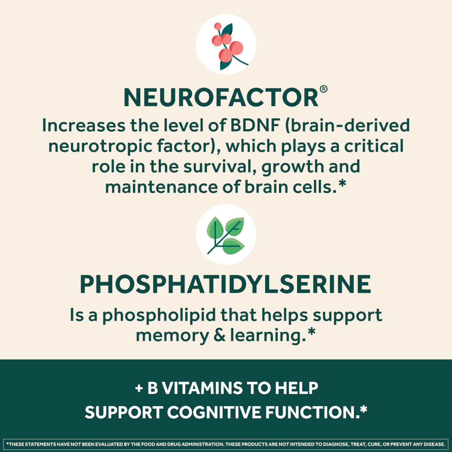 NEURIVA Plus Brain Supplement for Memory and Focus Clinically Tested Nootropics for Concentration for Mental Clarity, Cognitive Enhancement Vitamins B6, B12