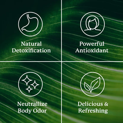 Nature's Sunshine Liquid Chlorophyll Extra Strength - Immunity Support, Detox & Cleanse, Chlorophyll Liquid Drops with Spearmint Oil,