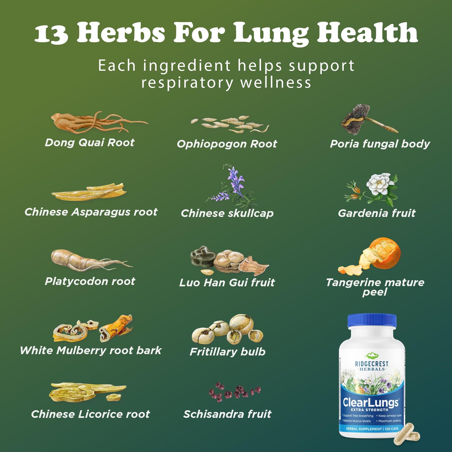 RidgeCrest Herbals ClearLungs Extra Strength, Daily Health Supplement, Natural Lung and Nasal Wellness Formula (120 Vegan Caps, 60 Serv)