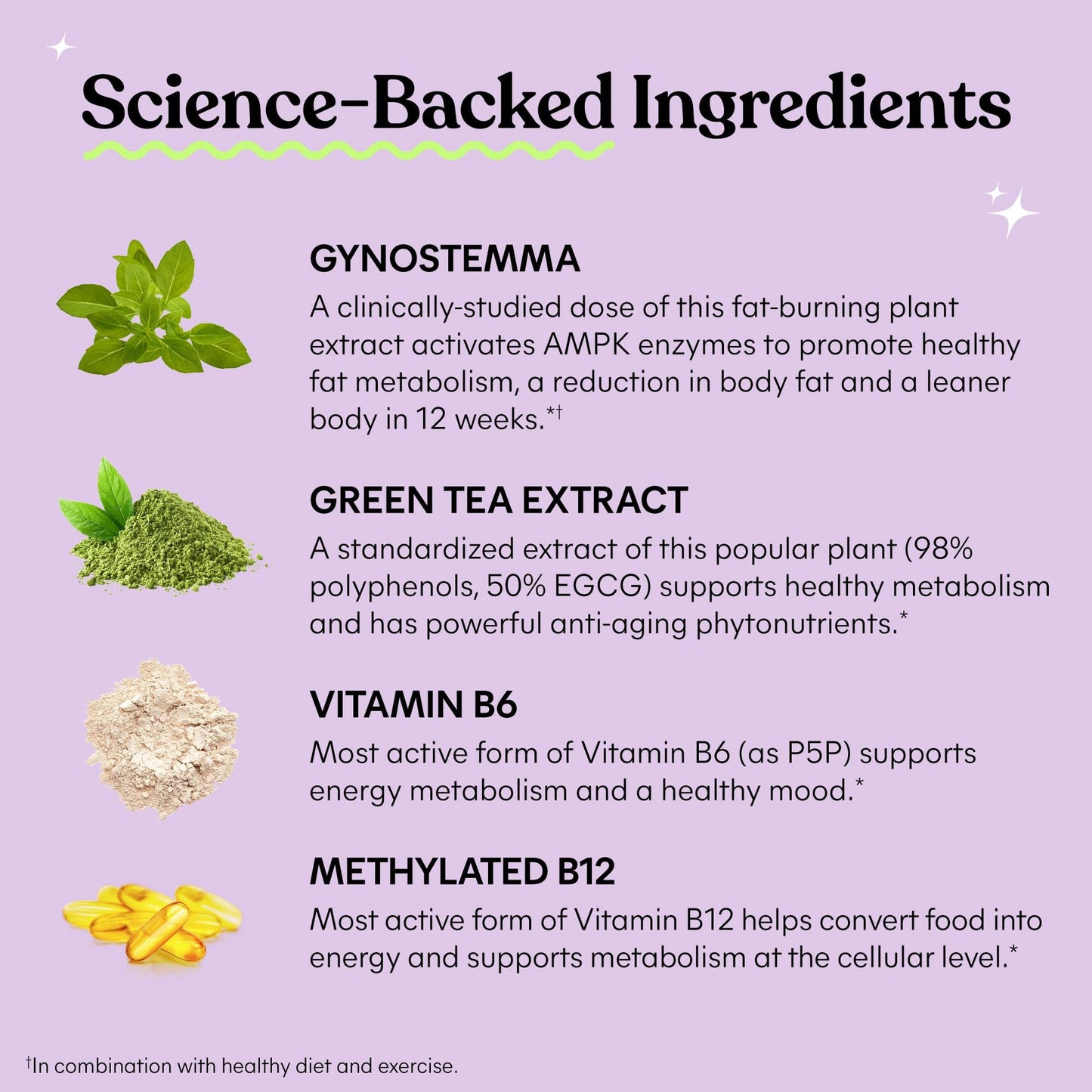 Lemme Burn - Metabolism, Belly Fat Burning + AMPK Activating Supplement for Men & Women w/Clinically Studied Actiponin Gynostemma, Green Tea Extract