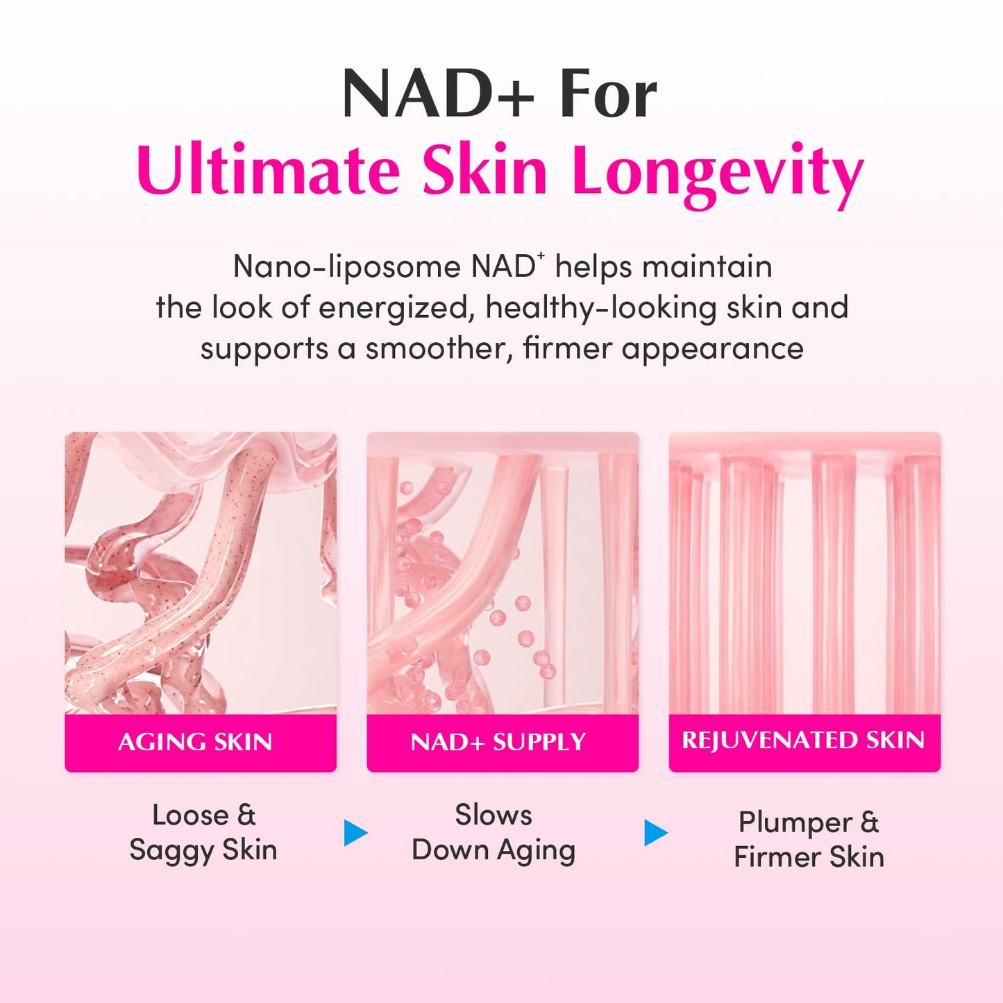 EQQUALBERRY NAD+ Peptide Boosting Cream Double Pack | NAD+ 5% & 13 Peptides Anti-Aging Korean Skincare Face & Body Cream | Firming & Lifting Pink Neck Cream