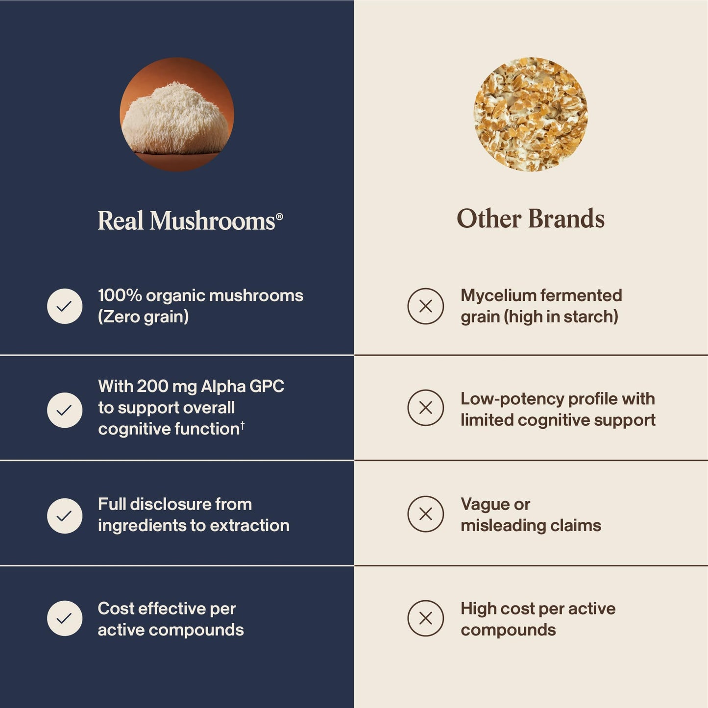 Real Mushrooms Lion’s Mane Focus Capsules (90 Count) – Organic Lions Mane Fruiting Body Extracts with 200mg Alpha GPC Choline
