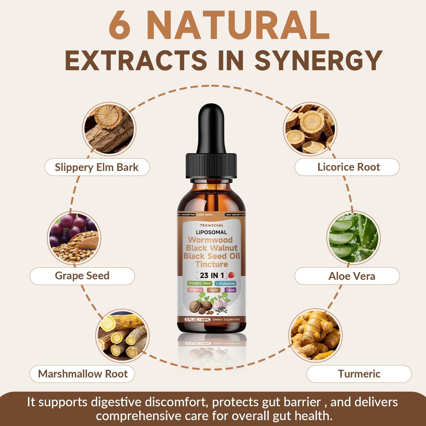 Trawecual Black Walnut Wormwood Black Seed Oil Cleanse Tincture, 23-in-1 Gentle Gut Detox & Digestive Health Support with Clove, Pumpkin Seed