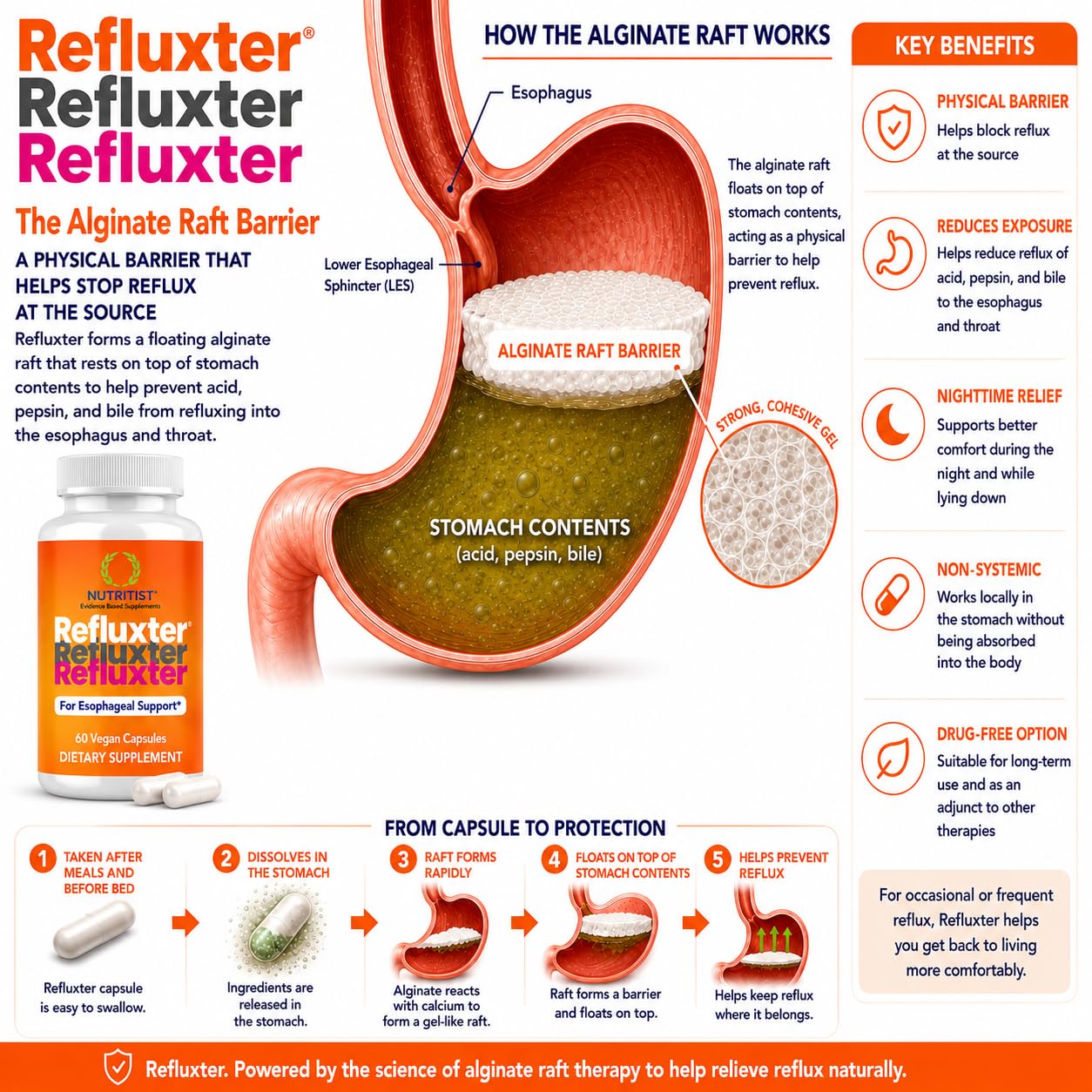 Nutritist Refluxter Sodium Alginate Capsules – Natural Acid Reflux & GERD Relief Supplement. Supports LPR, Silent Reflux, Heartburn, Indigestion