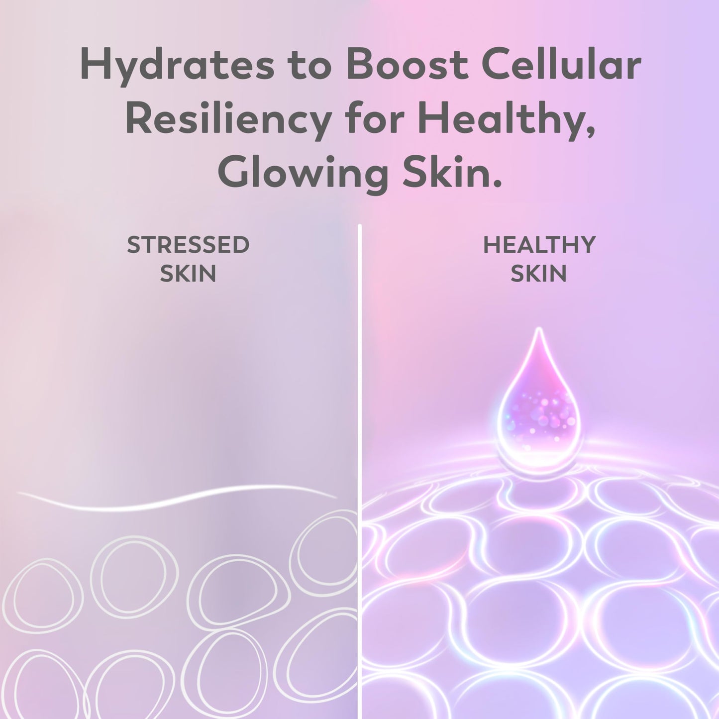 Olay Super Serum Night Repair, Fragrance-Free - Niacinamide, Peptide, Salicylic & Lactic Acid, Glycerin - 5-in-1 Skin Care Benefits - Hydrating, Evens Tone