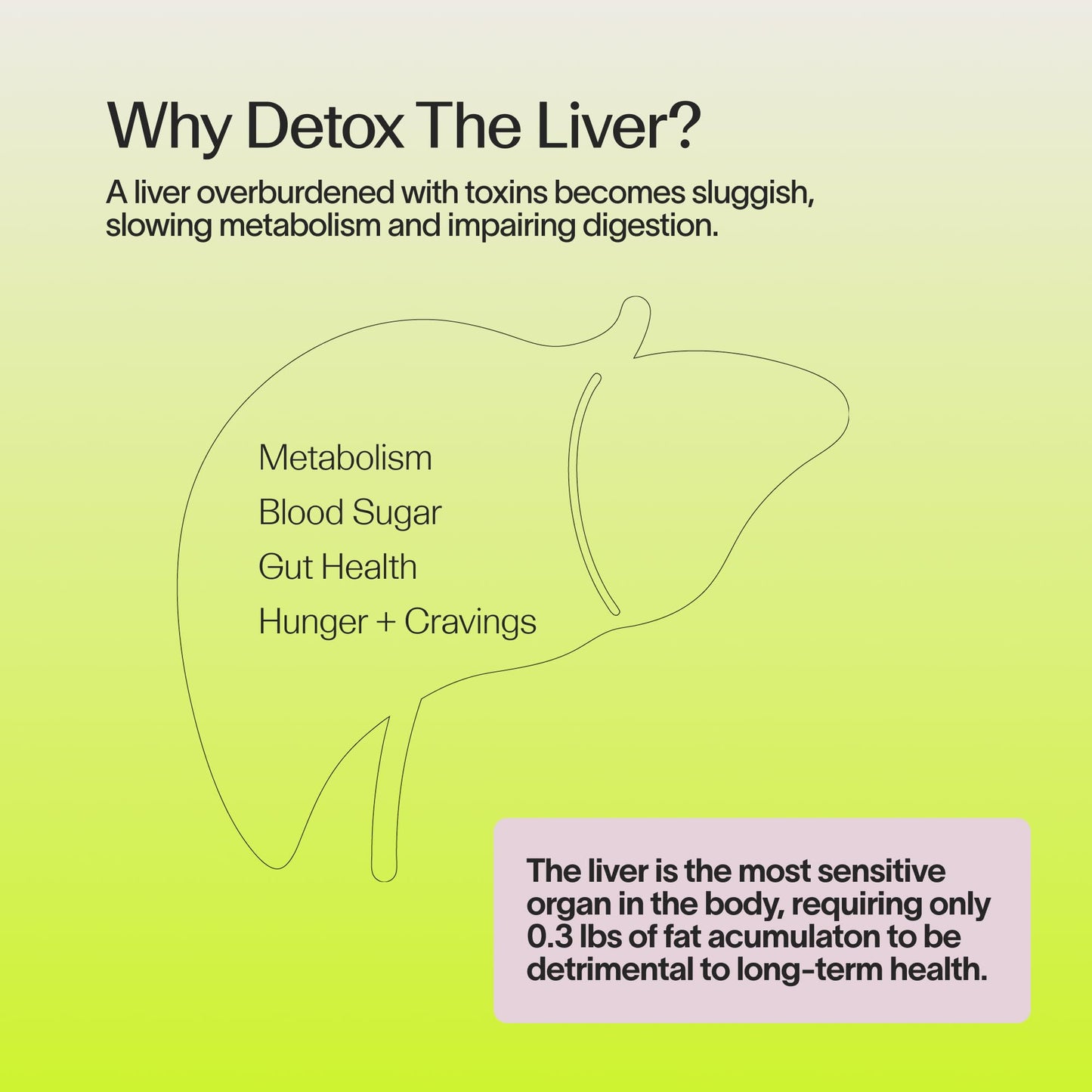 Veracity Metabolism Cleanse - 10 Day Liver Detox, Improves Fat Digestion, Optimizes Metabolism - Helps Regulate Hormones - Toxin Free, Gluten Free, Vegan