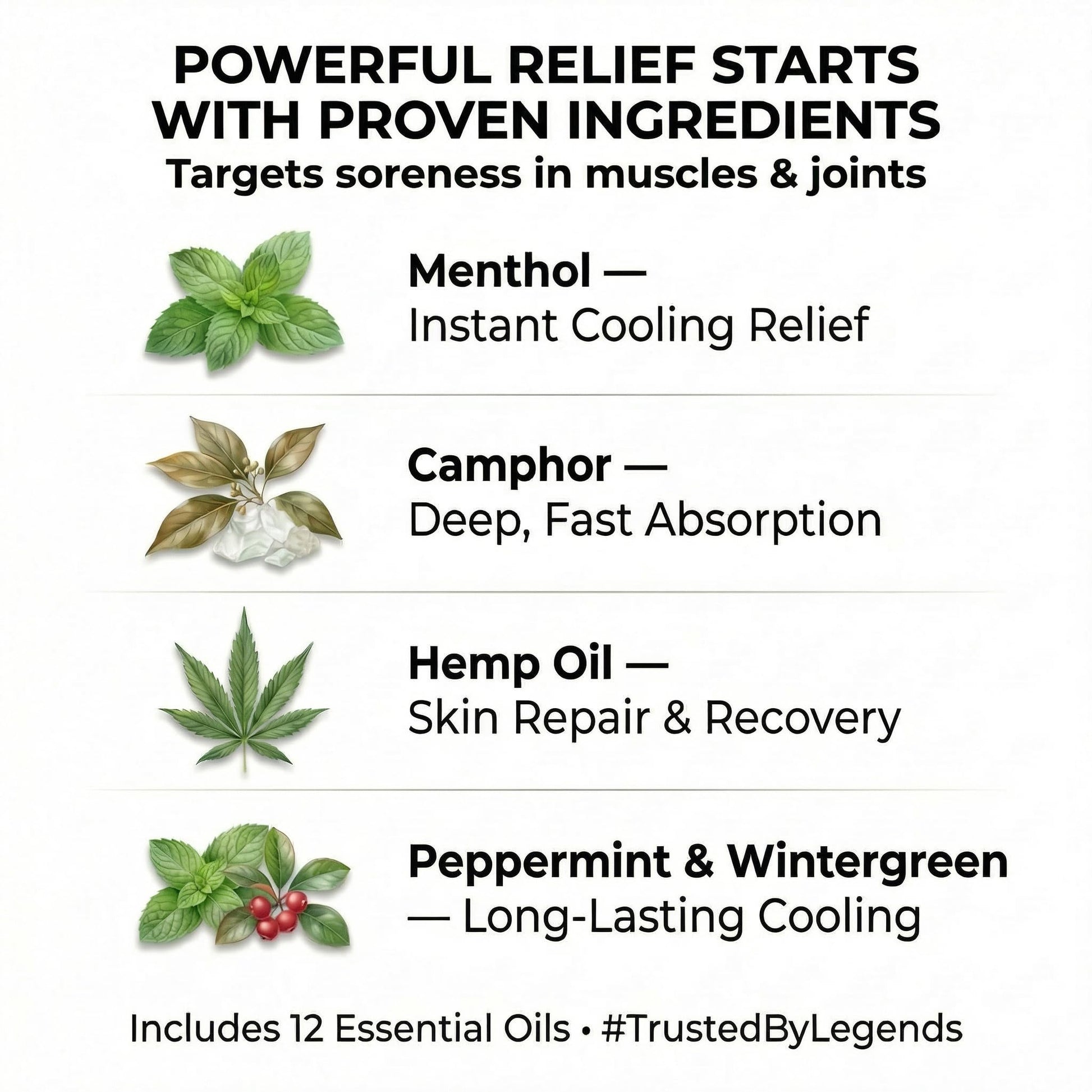 ZEN Hemp Balm 3 Pack – Fast-Acting Pain Relief for Muscles & Joints – Plant-Based Topical – 0.7 oz Each ZENBuy Supplements Australia