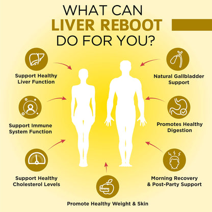 OmniBiotics Liver Cleanse Detox & Repair Supplement – Milk Thistle, Dandelion Root, Alpha Lipoic Acid, Artichoke Extract,