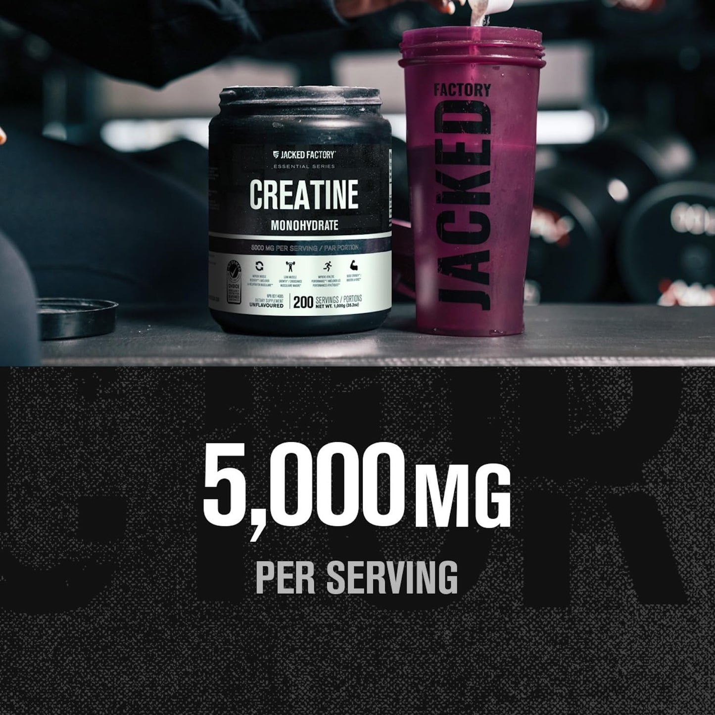 Jacked Factory Creatine Monohydrate Powder 1000g - 5g Daily Creatine Supplement for Men and Women, Vegan-Friendly,